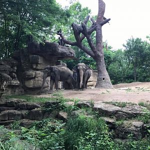 18619901_10213316904098716_5852639194510010167_n