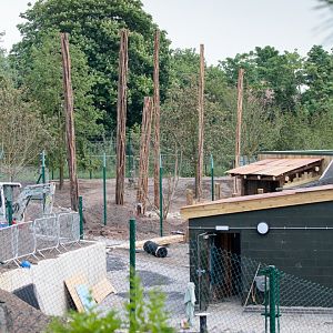 Islands Construction - 25/05/2017