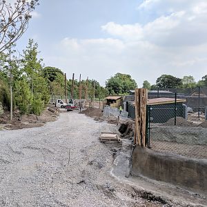 Islands Construction - 25/05/2017