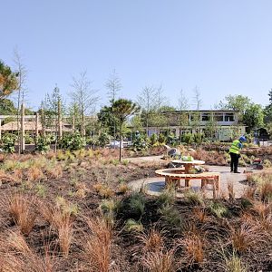 Play! at Chester Zoo - 25/05/2017