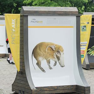 May. 2017 - PhotoArk Displays