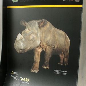 May. 2017 - PhotoArk - Featuring Harapan