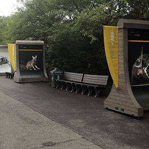 May. 2017 - PhotoArk Displays - Featuring One of the Zoo's Auklets
