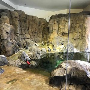 Helzburg Penguin Plaza