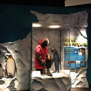 Helzburg Penguin Plaza