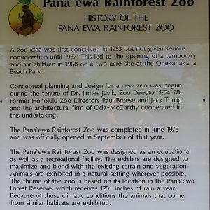 History of Pana'ewa Zoo