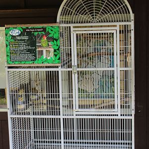 Parrot Cage