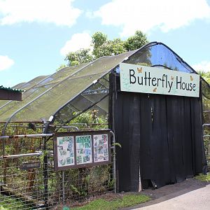 Butterfly House