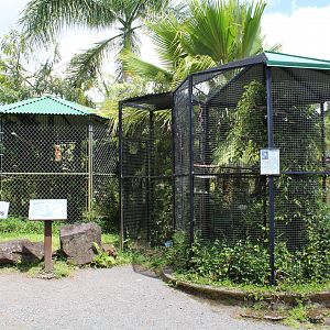 Parrot Cages