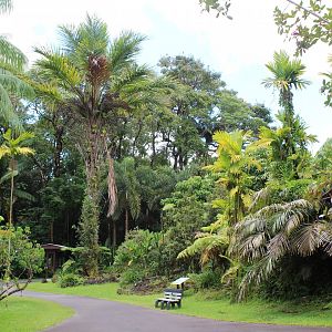Scenery and Vegetation