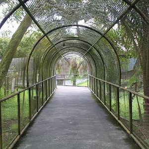 Cage Tunnel for Ibis/Anteater/Waterfowl Exhibit