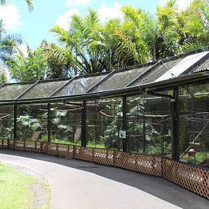 Binturong Cages