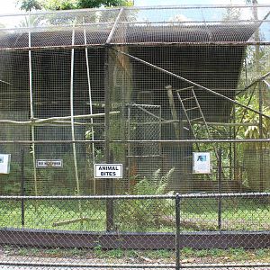 Ring-Tailed Lemur Exhibits
