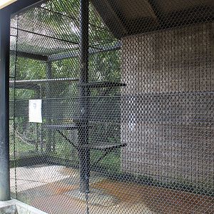 Spider Monkey Exhibit