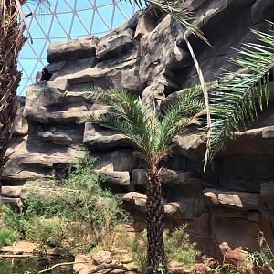Desert Dome