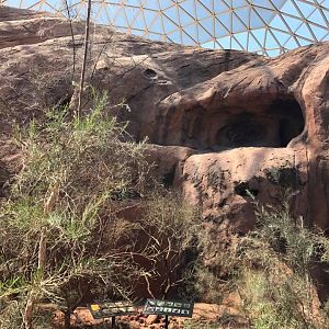 Desert Dome