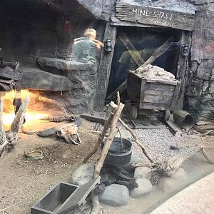 Desert Dome- Rattlesnake