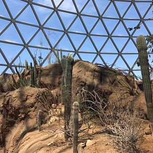 Desert Dome