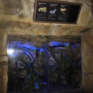 Kingdoms of the Night