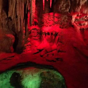 Kingdoms of the Night