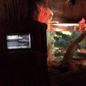 Kingdoms of the Night