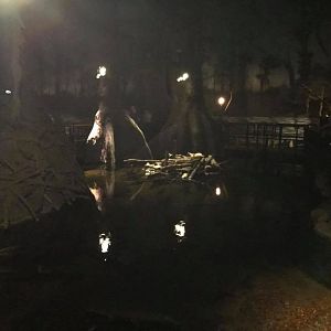 Kingdoms of the Night- Swamp