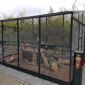 Enclosure Black-tailed prairiedog