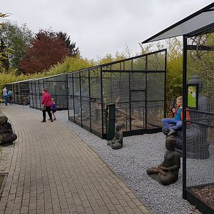 Squirrel-enclosures