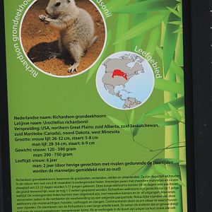 Sign Richardson's ground-squirrel