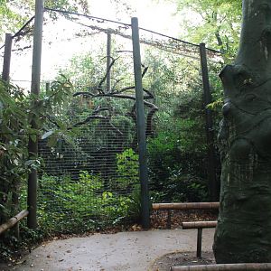 Owl-aviary