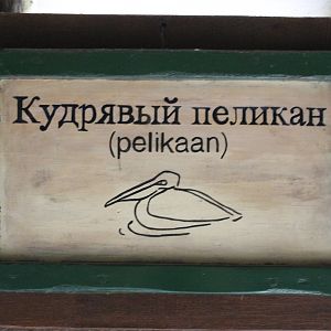 Pelican-sign