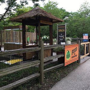 Giraffe Feeding Deck