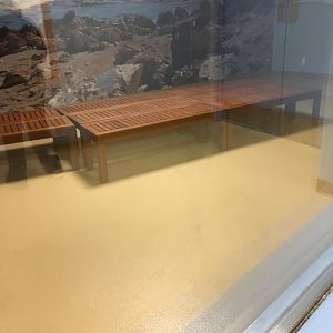 Penguin Encounter Room