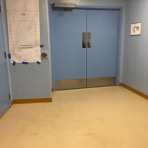 Penguin Encounter Viewing Room