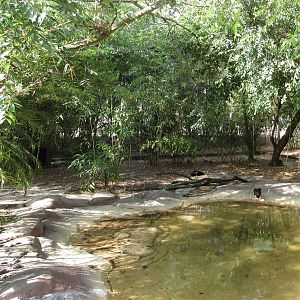 River Valley Aviary Pond