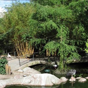 River Valley Aviary Bridge View