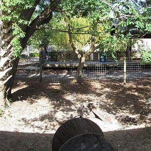 Warthog Exhibit