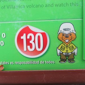 what animal is forestin '?