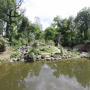 Siberian tiger enclosure(2)