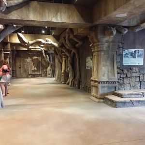 Lost Kingdom - interior of indoor viewing building