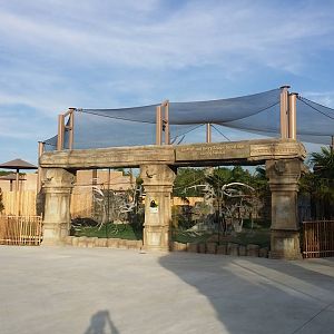 Lost Kingdom - Siamang habitat