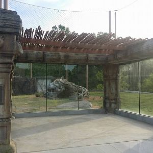 Lost Kingdom - Malayan tiger yard