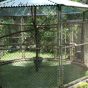 Two-Toed Sloth Exhibit