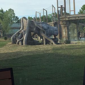 Lost Kingdom - Malayan tiger yard