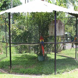 Macaw Exhibit