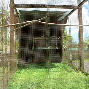 Spacious Macaw Exhibit