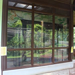 Boa Constrictor Exhibit