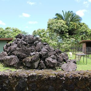 Domestic Goat Exhibit