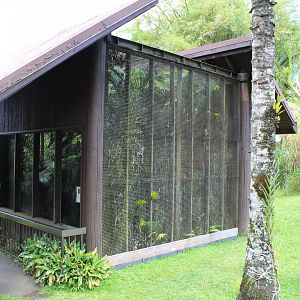 Pueo (Hawaiian Owl) Exhibit