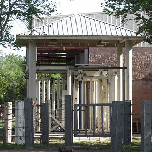 Elephant Restraint Device (ERD)